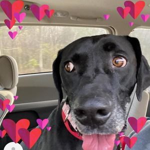 Meet your Posher, Danny